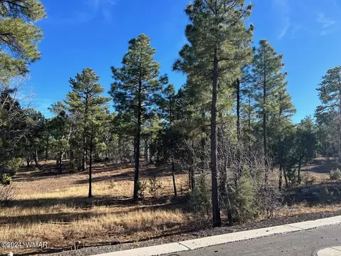 2260 S Snowy Ridge Loop, Show Low, AZ 85901