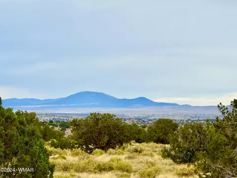 River Springs Ranch Unit 1 Lot 17, Saint Johns, AZ 85936