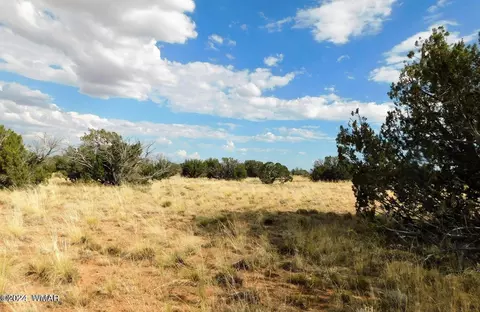 5913 Hertz Dr, Heber, AZ 85928