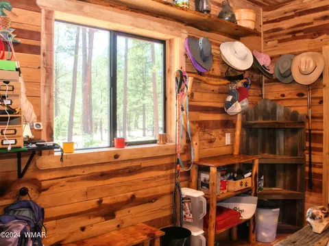 5 County Rd 2271, Alpine, AZ 85920 photo 16