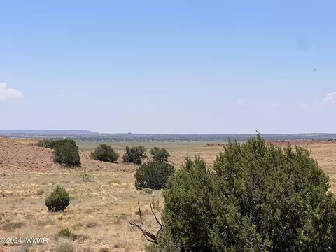 104 N9328, Concho, AZ 85924