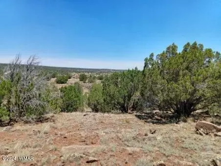 11 N 9259, Concho, AZ 85924