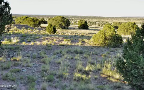 Other - 7 N9017, Concho, AZ 85924 photo 17 of 28