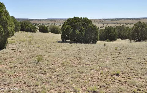 Other - 7 N9017, Concho, AZ 85924 photo 18 of 28