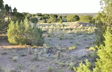 Exterior - 7 N9017, Concho, AZ 85924 photo 16 of 26