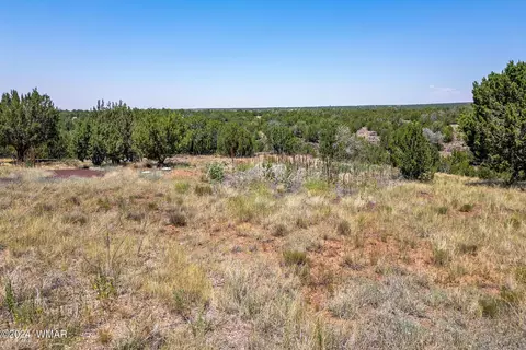 8622 Cox Dr, Show Low, AZ 85901