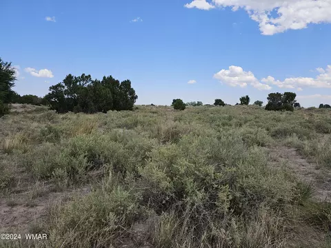 tbd School Bus Rd, Eagar, AZ 85925 photo 11