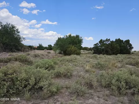 tbd School Bus Rd, Eagar, AZ 85925 photo 12