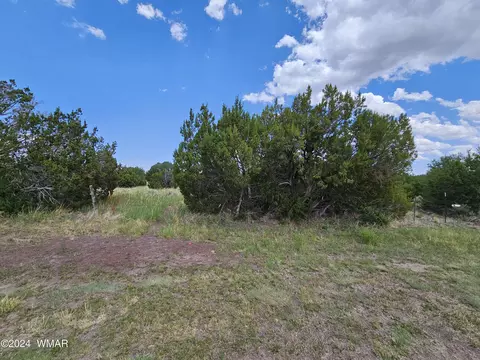 tbd School Bus Rd, Eagar, AZ 85925 photo 2