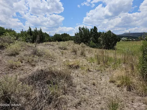 tbd School Bus Rd, Eagar, AZ 85925 photo 5
