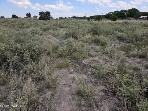 tbd School Bus Rd, Eagar, AZ 85925 photo 13