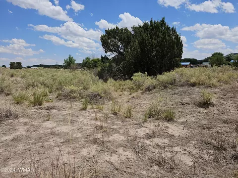 tbd School Bus Rd, Eagar, AZ 85925 photo 4
