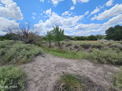 tbd School Bus Rd, Eagar, AZ 85925 photo 10