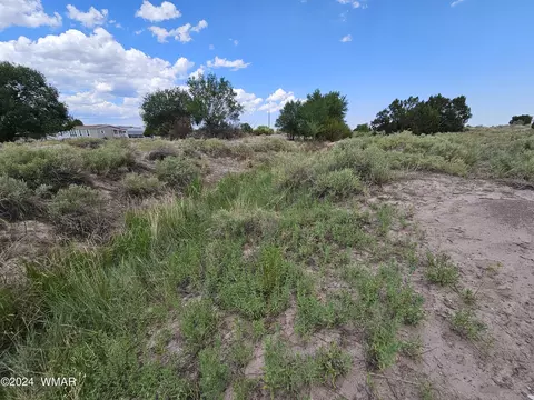 tbd School Bus Rd, Eagar, AZ 85925 photo 9