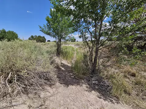 tbd School Bus Rd, Eagar, AZ 85925 photo 8