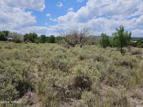 tbd School Bus Rd, Eagar, AZ 85925 photo 14