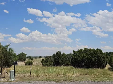 tbd School Bus Rd, Eagar, AZ 85925 photo 3