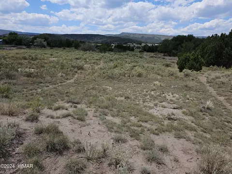 tbd School Bus Rd, Eagar, AZ 85925 photo 17