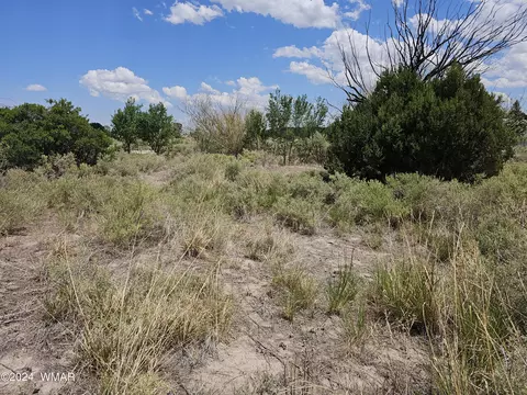 tbd School Bus Rd, Eagar, AZ 85925 photo 6