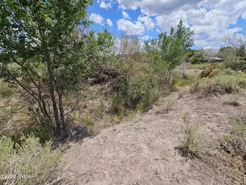 tbd School Bus Rd, Eagar, AZ 85925 photo 7
