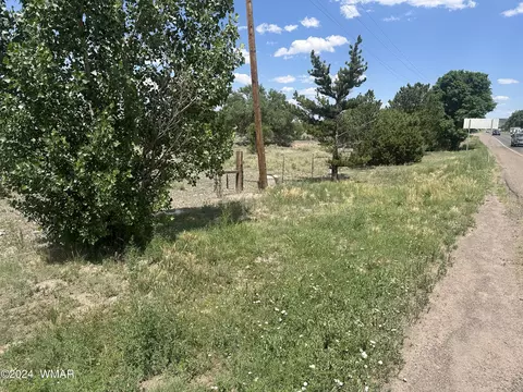 Tbd Us Hwy 60, Springerville, AZ 85938 photo 2