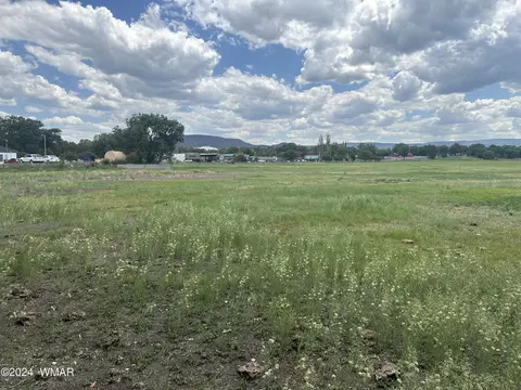 tbd S Mountain Ave, Eagar, AZ 85925 photo 5