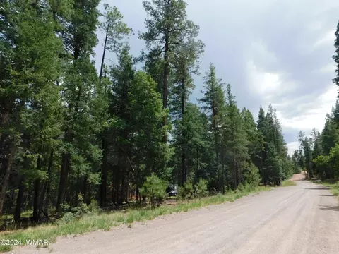 lot53 Alpine Forest Ests, Alpine, AZ 85920
