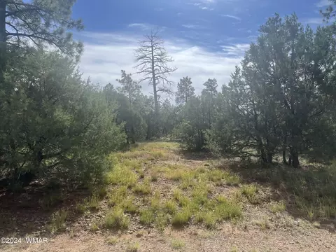 5455 Red Squirrel Ln, Lakeside, AZ 85929