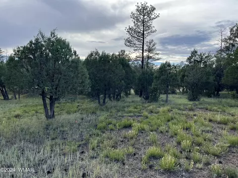 5402 Red Squirrel Ln, Lakeside, AZ 85929