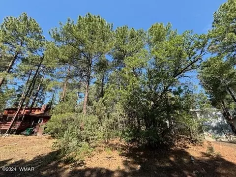 4318 S Antelope Ln, Show Low, AZ 85901
