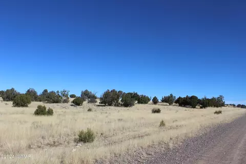 0000 Acr #8623, Concho, AZ 85924