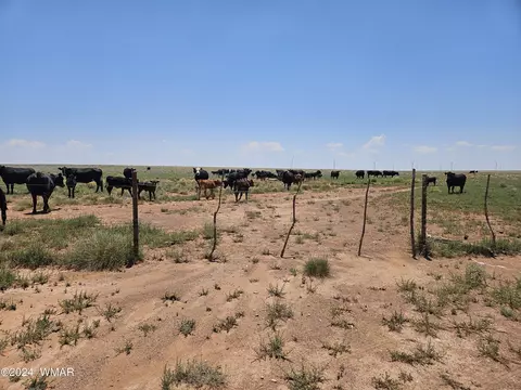 tbd Near Old Holbrook Rd, Holbrook, AZ 86025