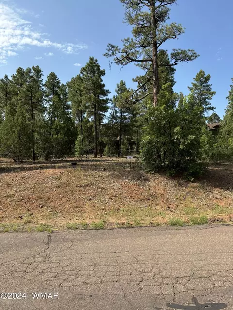 6931 Leo Ln, Lakeside, AZ 85929