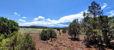 10 Cr 3197, Vernon, AZ 85940