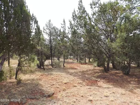 2747 Apollo Cir, Overgaard, AZ 85933