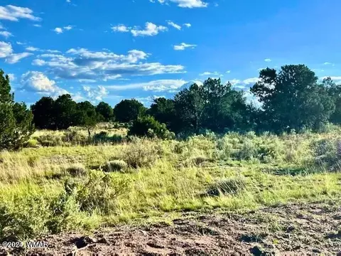 40 Cr 6488, Saint Johns, AZ 85936