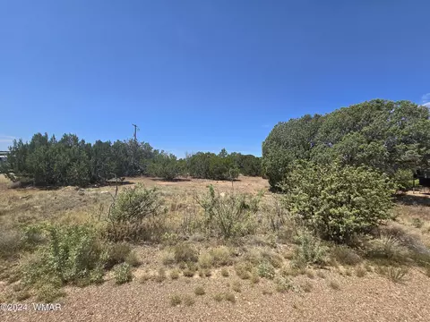 8547 Loveridge Dr, Show Low, AZ 85901