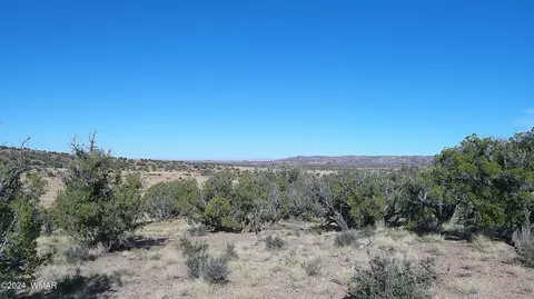 tbd Concho 3, Concho, AZ 85924