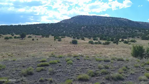 tbd Concho 3, Concho, AZ 85924 photo 8