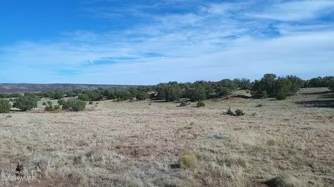 tbd Concho 3, Concho, AZ 85924 photo 22