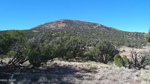 tbd Concho 3, Concho, AZ 85924 photo 23