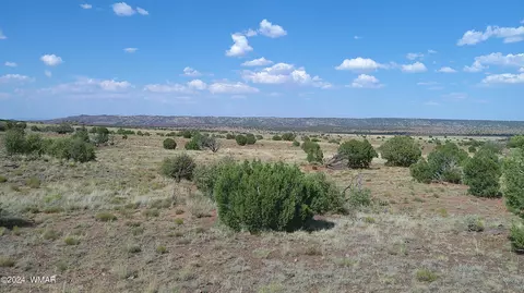 tbd Concho 3, Concho, AZ 85924 photo 12