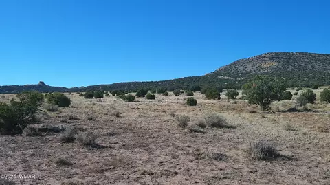 tbd Concho 3, Concho, AZ 85924 photo 19