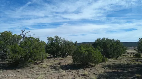 tbd Concho 3, Concho, AZ 85924 photo 25