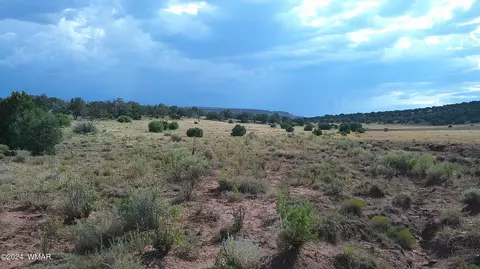 tbd Concho 3, Concho, AZ 85924 photo 4