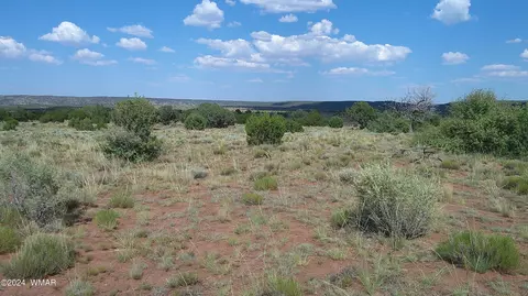 tbd Concho 3, Concho, AZ 85924 photo 16