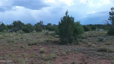 tbd Concho 3, Concho, AZ 85924 photo 15