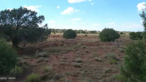 tbd Concho 3, Concho, AZ 85924 photo 14