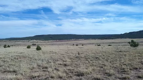 tbd Concho 3, Concho, AZ 85924 photo 28
