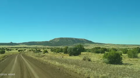 tbd Concho 3, Concho, AZ 85924 photo 17